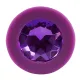 Анальная пробка — Colorful Joy Jewel Purple Plug Medium