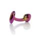 Анальна пробка - Jewellery Multicolour Curved Plug M