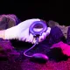 Эрекционное виброкольцо с виброяйцом Hueman — Eclipse Anal Vibrator