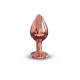 Металл с украшением из кристалла Dorcel — Diamond Plug M