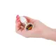 NS Novelties Crystal Glass Anal Plug - Desires - Rainbow Gem - Small