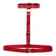 Гартер - Double Ring of Humiliti Red