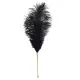 Щекоталка LOCKINK SEVANDA Natural Peacock Flirting Feather Tickler, перья павлина и страуса