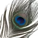 Щекоталка LOCKINK SEVANDA Natural Peacock Flirting Feather Tickler, перья павлина и страуса