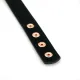 Ошейник с зажимами для сосков Liebe Seele Rose Gold Memory Collar with Nipple Clamps, кожа