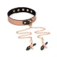 Ошейник с зажимами для сосков Liebe Seele Rose Gold Memory Collar with Nipple Clamps, кожа