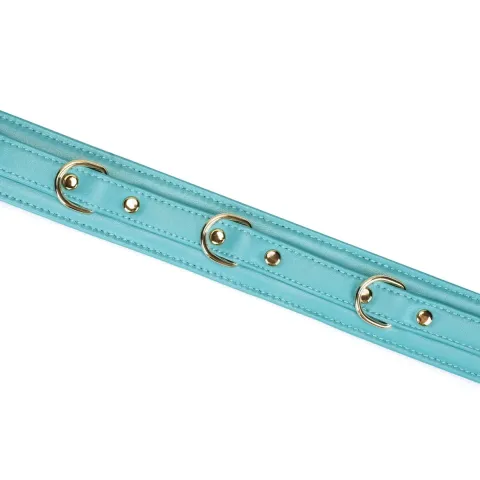Нашийник с повідцем Liebe Seele Blue Lamb Leather Collar с бархатной подкладкой