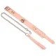 Нашийник з повідцем Liebe Seele Dark Candy Pink Collar with Leash, повідець на карабіні