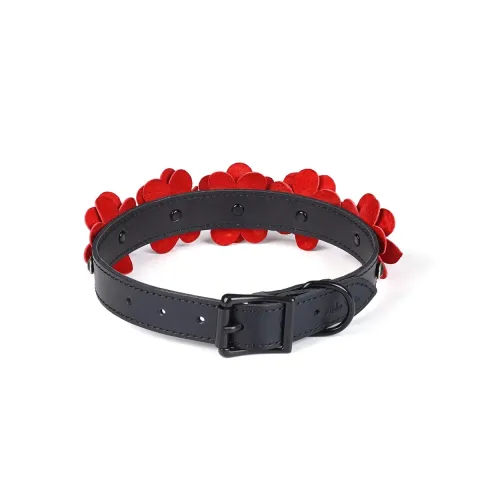 Нашийник з повідцем Liebe Seele Flower Rhythm - Black and Red Leather Flowers collar with Leash