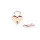 Замочек в форме сердца Liebe Seele Heart Shape Padlock Rose Gold (2 шт.), универсальный