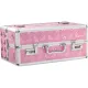 Большой чемодан для хранения секс-игрушек BMS Factory Large Lokable Vibrator Case Pink, кодовый замок