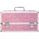 Большой чемодан для хранения секс-игрушек BMS Factory Large Lokable Vibrator Case Pink, кодовый замок