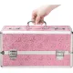 Большой чемодан для хранения секс-игрушек BMS Factory Large Lokable Vibrator Case Pink, кодовый замок
