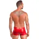 Мужские шорты Noir Handmade H097 Ignite XXL