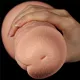 Фаллоимитатор — реалистичный длинный дилдо размера «King-Size», 11 дюймов, телесного цвета