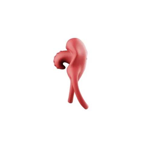 Виброкольцо для эрекции — Dual Ring Tongue Vibe Red