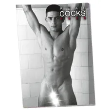 Еротичний календар - Pin-up Calendar Real Cocks 2026