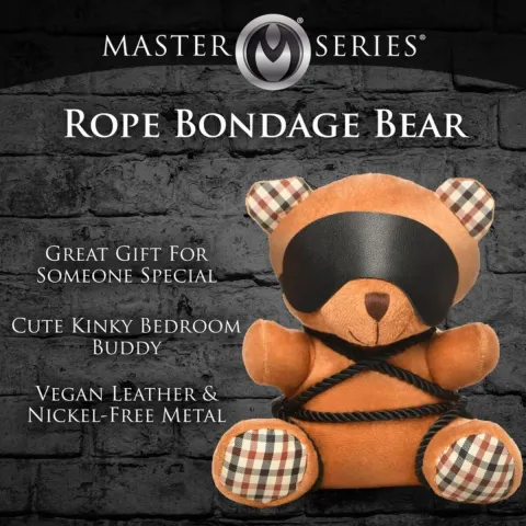 ROPE Плюшевый мишка BDSM в кожаной маске и шлейке, 22x16x12 см