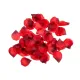Пелюстки троянди - Red Rose Petals