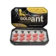 Пігулки Gold Ant (Золота Мураха), 10 пігулок + 10 вітамінів