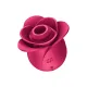 Вакуумний стимулятор - Satisfyer Pro 2 Modern Rose