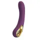 Hi-tech вібратор - Pretty Love Ethan RC Control Vibrator Purple