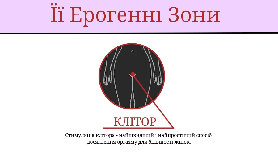 Клітор – найбільш чутлива ерогенна зона жінки